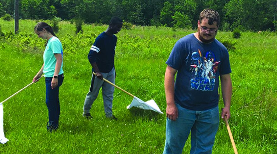 OSC data processing helps Benoit's group survey tick populations